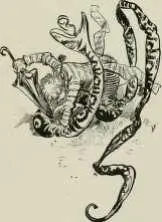 MORT DU GRAND SERPENT DE SEINEET0SE ment échapper au monstre Heureusement - фото 71