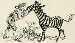 COQLELUCHON TRANSFORME EN ZEBRE mille paillettes brillaient sur leurs jupes - фото 91