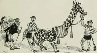 LA GIRAFE COQUELlCHA Vous allez voir dabord je dois vous diie que je - фото 105