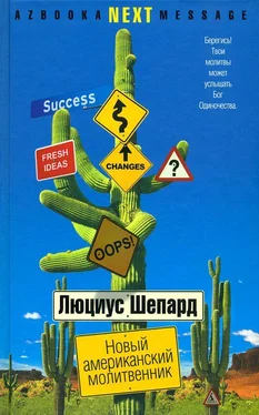 Люциус Шепард Новый американский молитвенник обложка книги