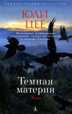 Юли Цее Темная материя обложка книги