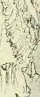 Yesteryear ten centuries of toilette from the French of A Robida - изображение 19