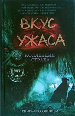 Ричард Лаймон Ныряльщица обложка книги