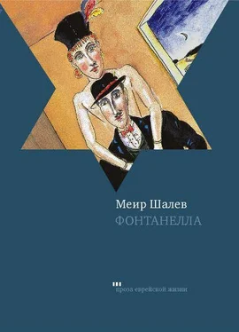 Меир Шалев Фонтанелла обложка книги