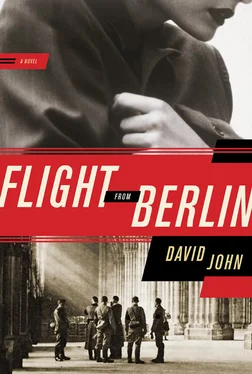 David John Flight from Berlin обложка книги