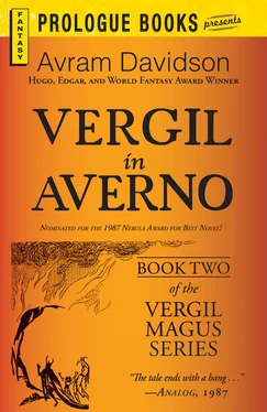 Avram Davidson Vergil in Averno обложка книги