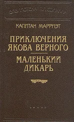 Фредерик Марриет - Маленький дикарь