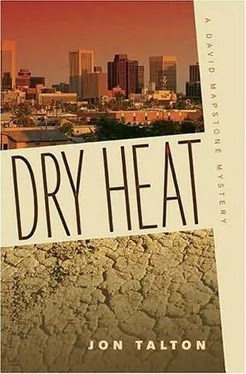 Jon Talton Dry Heat обложка книги