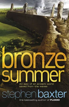 Stephen Baxter Bronze Summer обложка книги