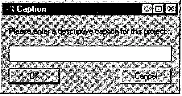 Рис А9 Диалоговое окно Caption 2 Введите в нем необходимую информацию 3 - фото 113