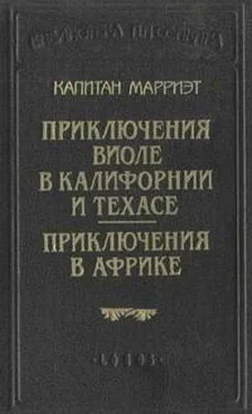 Фредерик Марриет Приключения Виоле в Калифорнии и Техасе обложка книги