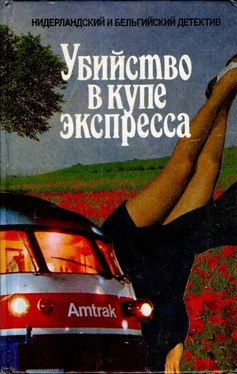 В. ван Эмландт Коварный лед обложка книги