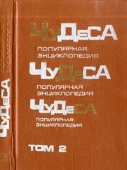 Владимир Мезенцев - Чудеса - Популярная энциклопедия. Том 2