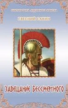 Санин Евгений Завещение бессмертного обложка книги