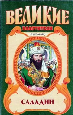 Сергей Смирнов Султан Юсуф и его крестоносцы обложка книги