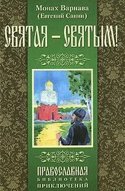 Санин Евгений Святая - святым обложка книги