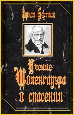 Эрнст Бергман Учение Шопенгауэра о спасении обложка книги