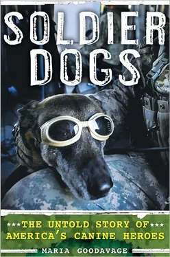 Maria Goodavage Soldier Dogs обложка книги