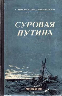 Георгий Шолохов-Синявский Суровая путина обложка книги