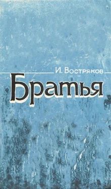 Игорь Востряков Братья обложка книги