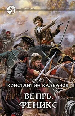 Константин Калбанов Вепрь. Феникс обложка книги