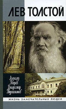 Алексей Зверев Лев Толстой обложка книги