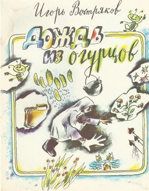 Игорь Востряков Дождь из огурцов (сборник) обложка книги