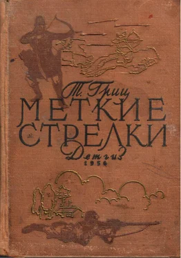 Теодор Гриц Меткие стрелки обложка книги