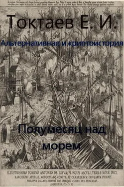 Евгений Токтаев Полумесяц над мирем обложка книги