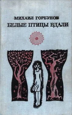 Михаил Горбунов Белые птицы вдали [Роман, рассказы]