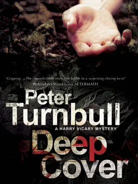 Peter Turnbull Deep Cover обложка книги