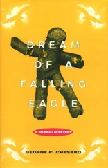 George Chesbro - Dream of a Falling Eagle