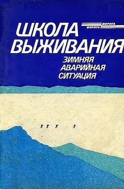 Андрей Ильичев Школа выживания. Зимняя аварийная ситуация обложка книги