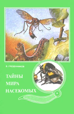 Виктор Гребенников Тайны мира насекомых обложка книги