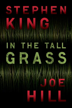 Stephen King In the Tall Grass обложка книги