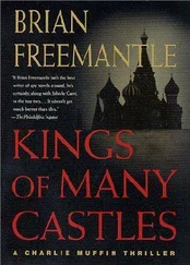 Brian Freemantle - Kings of Many Castles