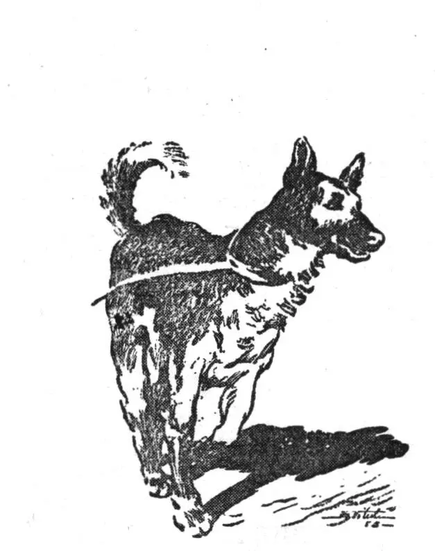 Глава шестнадцатая ФИНСКИЙ НОЖ У озера стоял человек Он осторожно - фото 38