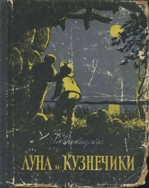 Ромуальдас Ланкаускас Луна и кузнечики обложка книги