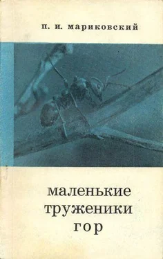 Павел Мариковский Маленькие труженики гор обложка книги