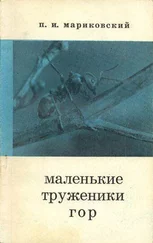 Павел Мариковский - Маленькие труженики гор