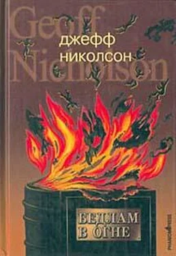 Джефф Николсон Бедлам в огне обложка книги