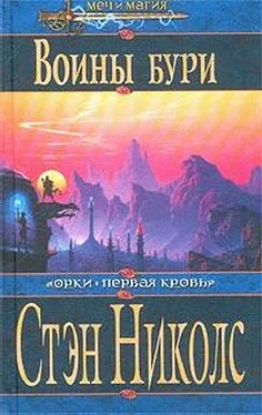 Стэн Николс Воины Бури