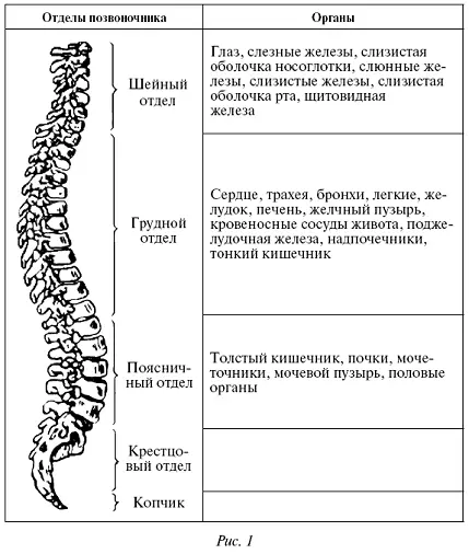 Многочисленные исследования в данной области показали что описанные - фото 93