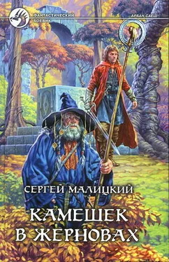 Сергей Малицкий Камешек в жерновах обложка книги