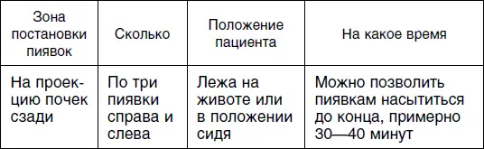 На этот раз местом постановки пиявок станут ваши почки Удобнее конечно будет - фото 4