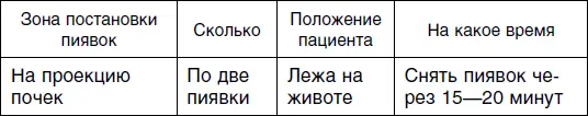 Пятый сеанс Шестой и седьмой сеансы гирудотерапии вне зависимости от пола - фото 39