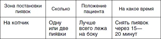 Шестой и седьмой сеансы гирудотерапии вне зависимости от пола холерикам - фото 40