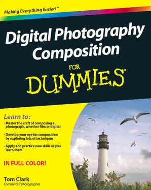 Tom Clark Digital Photography Composition For Dummies обложка книги