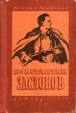 Леонтий Раковский Константин Заслонов обложка книги