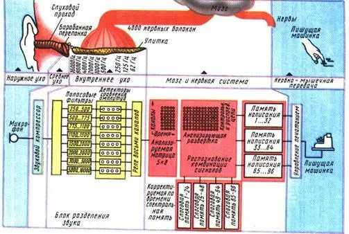 Рис 33 Схема фонетической пишущей машинки Действующие проектируемые и - фото 31